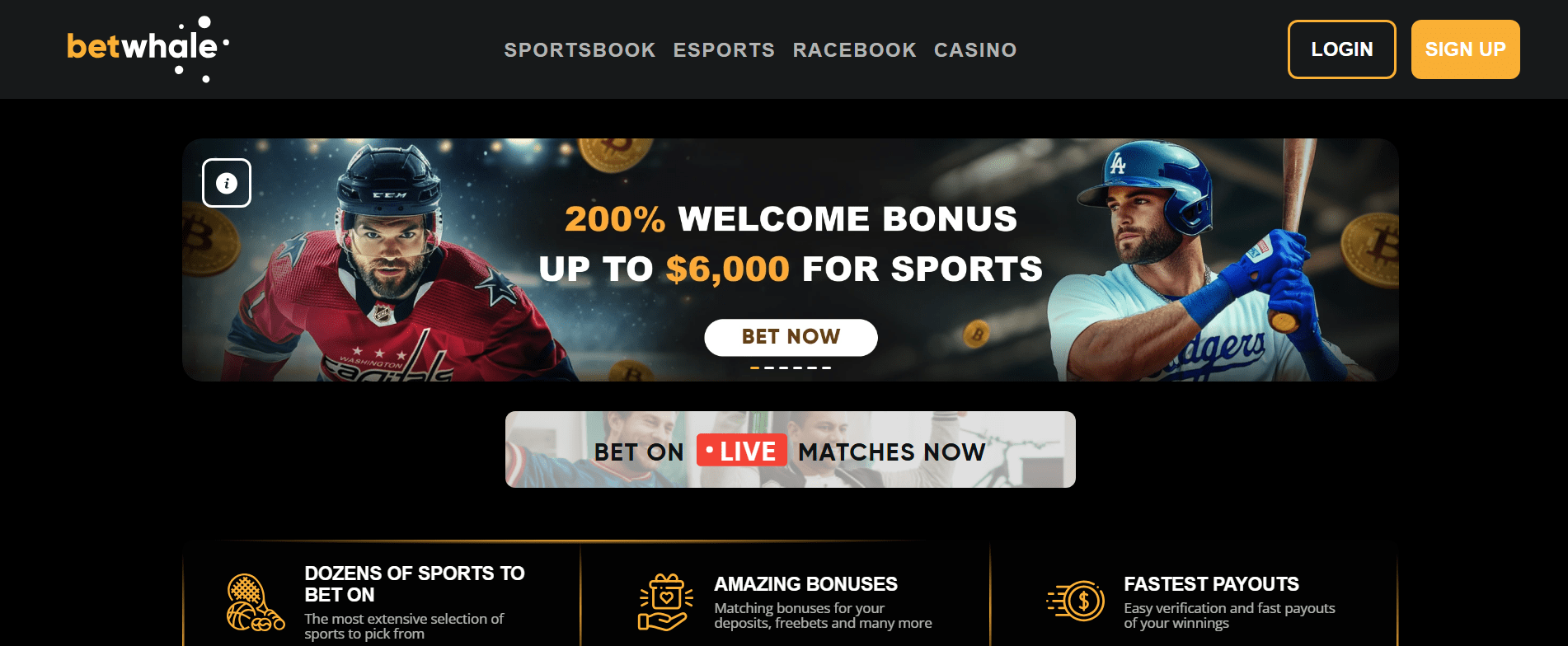 BetWhale: Sportsbook offering competitive odds with a smooth, user-friendly interface.